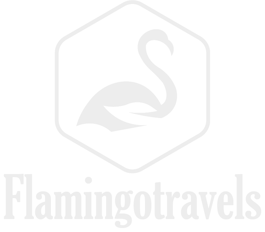 Flamingo Travelers